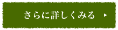 さらに詳しくみる