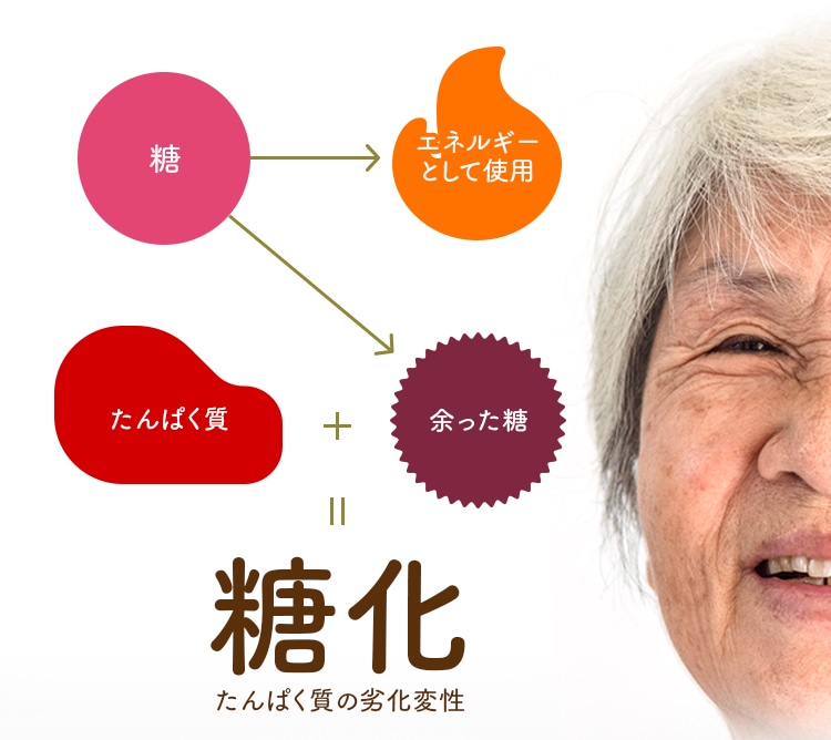 糖化  たんぱく質の劣化変性